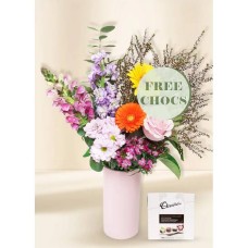 Bright Seasonal Regular with Free Chocs