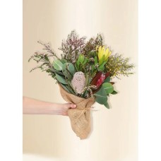 Native Seasonal Petite