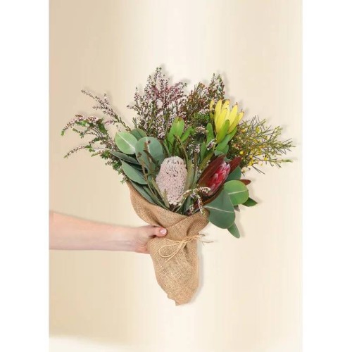 Native Seasonal Petite