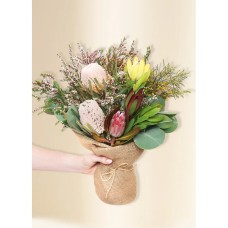 Native Seasonal Regular