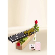 Red Rose - Single Stem for Valentine's Day With Chocs & Card