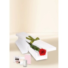 Single Stem Red Rose for Valentine's Day with Chocs, Candle & Card