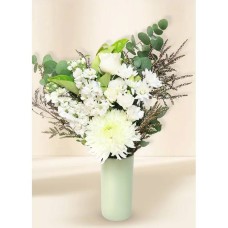 White Seasonal Regular