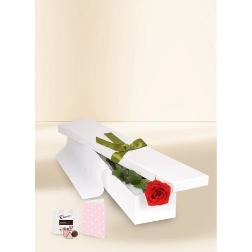 Single Stem Red Rose for Valentine's Day with Chocs & Card