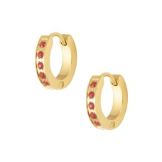 Ashley Hoop Earrings