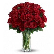 Love and Devotion : 2 Dozen Premium Red Roses : Vase