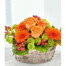 Copper Pot (Deluxe)