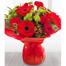 Ruby Red (Premium)
