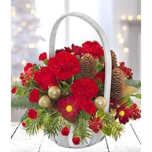 Festivity (Medium)