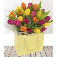 Tulip Temptation (Medium)