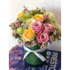Colourful Summer (Small)
