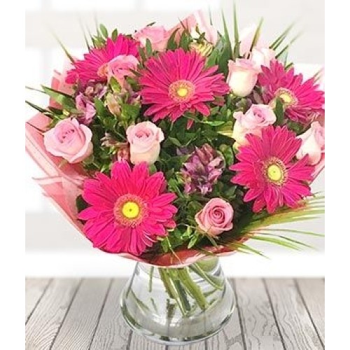 Pink Lady (Standard)