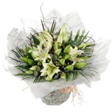 Lily Classic Handtied (Large)