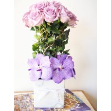 Pink And Violet Magic