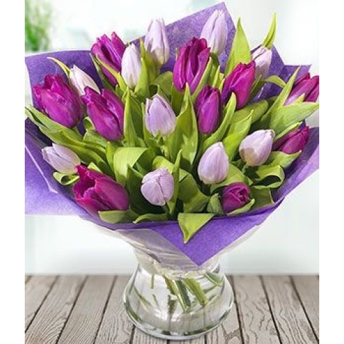 Simply Tulips