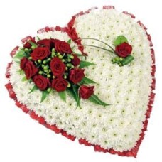 Textured Heart Based (Deluxe)