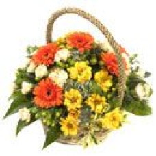 Amber Basket (Deluxe)
