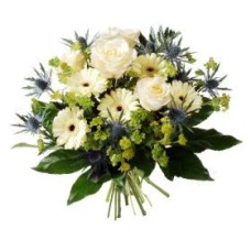 Birthday: Taurus (Standard)