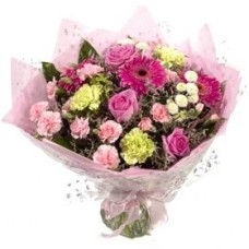 Pink Handtied (Deluxe)