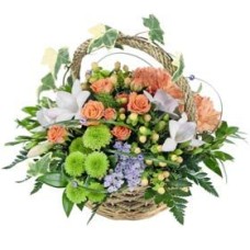 Purple, Green And Orange (Deluxe)