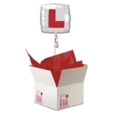 Hen Night Balloon in a Box (Premium)