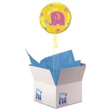 I am 5 Balloon in a Box (Premium)