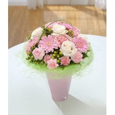 Pink Perfection - (Deluxe)