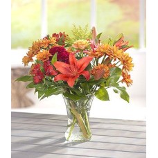 Peach Embers (Deluxe)