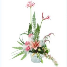 Baby Girl Arrangement (Deluxe)