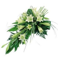 Longi Lily Spray (Deluxe)
