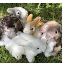 Build Your Bunny Kit