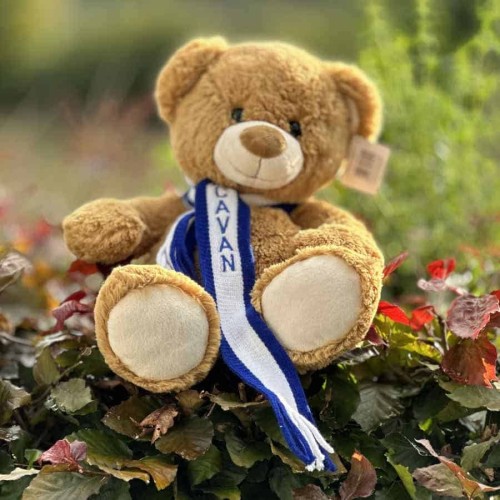 Large Cavan County Teddy