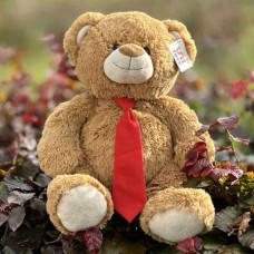 Large Red Tie Teddy