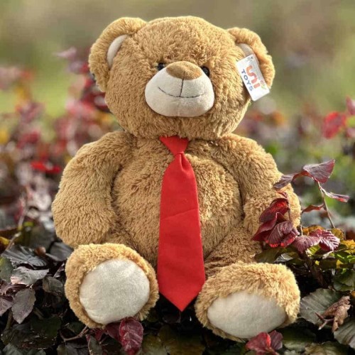 Large Red Tie Teddy