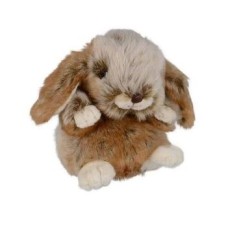 Baby Bunny Graham