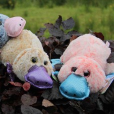 Playful Platypus Soft Toy