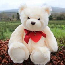 Large Felt Heart Teddy
