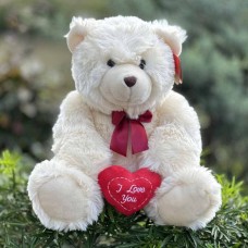 I Love You Teddy