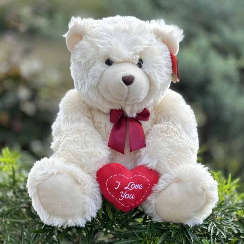 I Love You Teddy