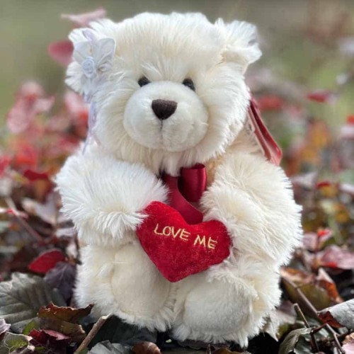 Love Me Teddy Bear