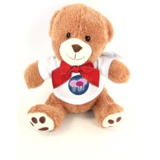 Memory Teddy Bear