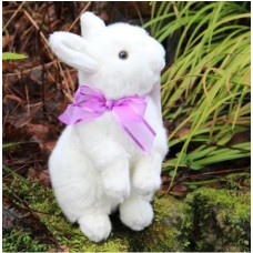 Easter Bunny White Rabbit