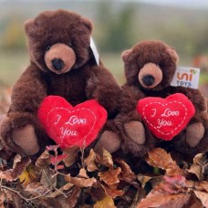 Brown Bears Love