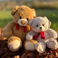 Festive Red Scarf Bear