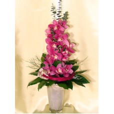 Pink Orchid Branch