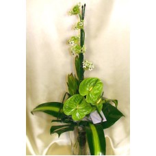 Elegance green