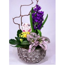 Fresh Spring - putting together in a stone bowl