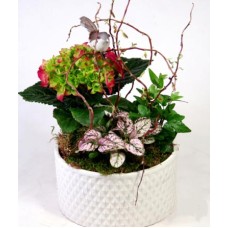 Spring assembly in a ceramic bowl with hydrangea