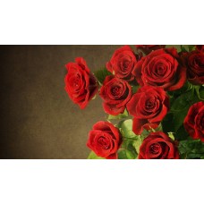 Freedom - Red Rose Bouquet Flower Delivery (Large)