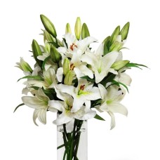 White Royal Lilies (L)